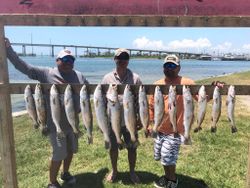 Spotted Weakfish and Sauger caught fishing in TX