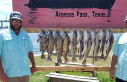 10 black drum and redfish caught by an angler in Port Aransas