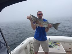 Wiper (Hybrid striped bass) fish caught in MA