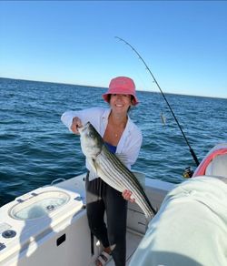 Striped bass caught while fishing in MA