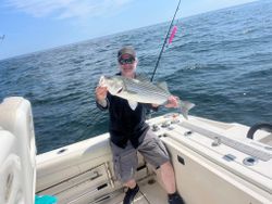 Striped bass caught by angler in MA