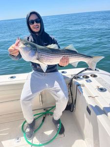 Striped bass caught by angler in MA