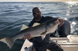 Striped bass caught while fishing in MA