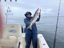 Striped bass fishing in MA