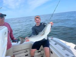 Striped bass fishing in MA