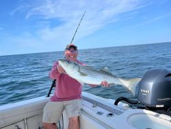 Striped bass caught while fishing in MA