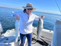 Two striped bass caught fishing in Yarmouth