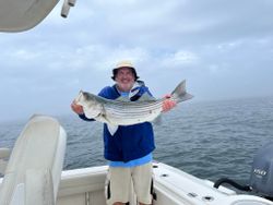 Striped bass caught in MA