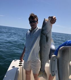 Striped bass caught in Yarmouth