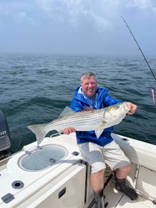 A striped bass caught in Yarmouth
