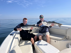 Double trouble with huge Striped Bass off Yarmouth!