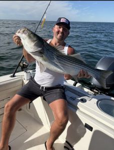 Striped bass caught in Yarmouth while fishing