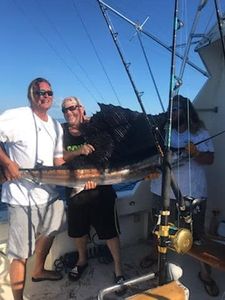 One Atlantic Sailfish caught while fishing in FL