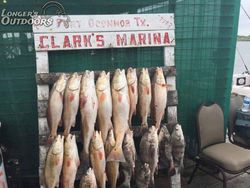 10 fishing in corpus christi
