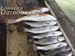 4 fish caught while fishing in TX