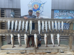 18 Redfish and Spotted Weakfish caught near Corpus Christi