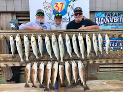 Twenty-four redfish and spotted weakfish caught in Corpus Christi