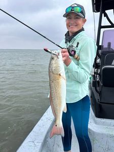 Redfish caught while fishing in Corpus Christi TX
