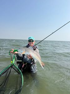 Redfish caught while fishing in Corpus Christi TX with fishing rod and net