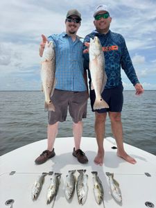 7 redfish caught while fishing in Corpus Christi
