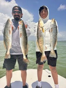 Four speckled trout caught fishing in Corpus Christi TX