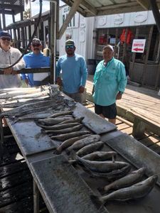 4 anglers fishing in Corpus Christi