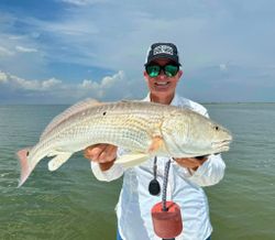 Redfish caught in TX