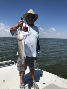 Redfish caught in TX