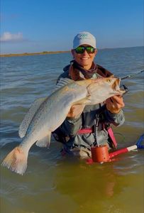 Speckled trout catch from fishing in Corpus Christi TX