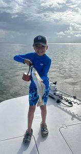 Spotted weakfish caught while fishing in TX