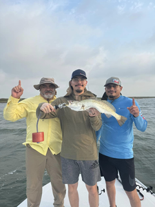 A spotted weakfish measuring 18 inches, caught in Corpus Christi while fishing.