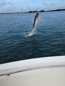 Angler fishing in Florida