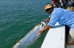 Person fishing in Florida