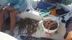 Fishing in the beautiful state of Florida