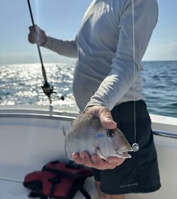 A fishing trip in Florida.