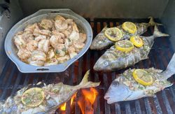 Three fish caught in FL