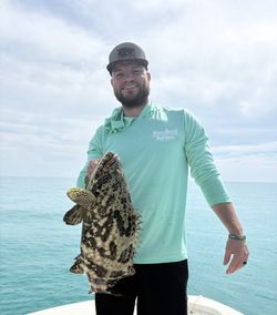 Goliath grouper caught fishing in Islamorada FL waters