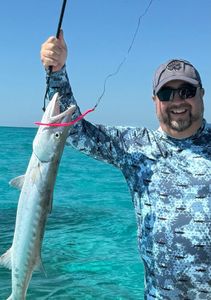 Great barracuda caught fishing in Islamorada FL waters