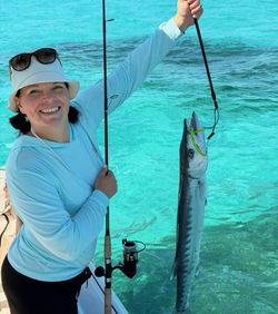 Great barracuda caught while fishing in Islamorada FL