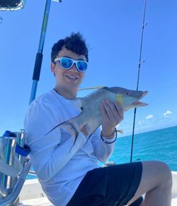 Hogfish caught while fishing in FL