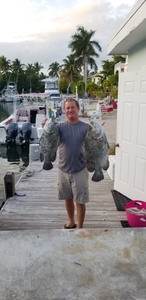 Two impressive tripletail fish caught in FL while fishing