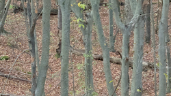 Great fishing spot with partly cloudy skies turning to afternoon rain - perfect conditions!