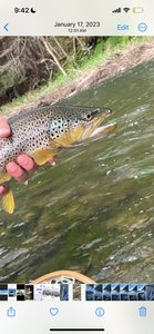 Nice brown trout from the clear waters around Boston! Perfect conditions made for an exciting day on the water.