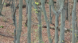 Perfect fishing conditions with partly cloudy skies before the afternoon rain rolled in.