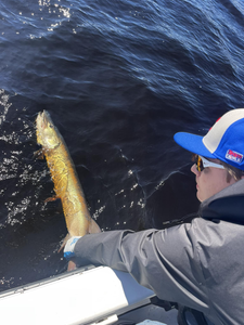 Angler with one fish in Minocqua