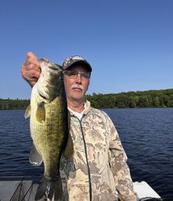 A person fishing in Minocqua