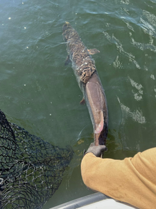 Fishing in the picturesque town of Minocqua