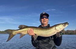 Image of a muskellunge fish caught while fishing in WI