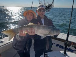 Striped bass caught while fishing in New York City