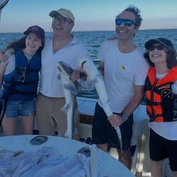 Dusky Smooth-Hound fish caught while fishing in NY